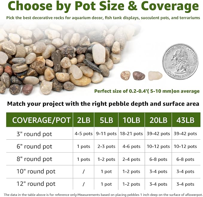 20lbs Aquarium Gravel, 1/3''(8mm) Pea Gravel,Natural River Pebbles | Water-Washed, Undyed and Uncoated, for Freshwater Tanks, Turtle Habitats, Planted Displays and Stream Layouts
