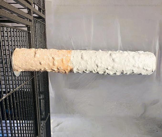 Polly's Edible Cuttlebone Calcium Bird Cage Perch for Budgies, Parakeets, Amazons, Blue & Golds, Macaws and Cockatoos.… (Orange, Large)