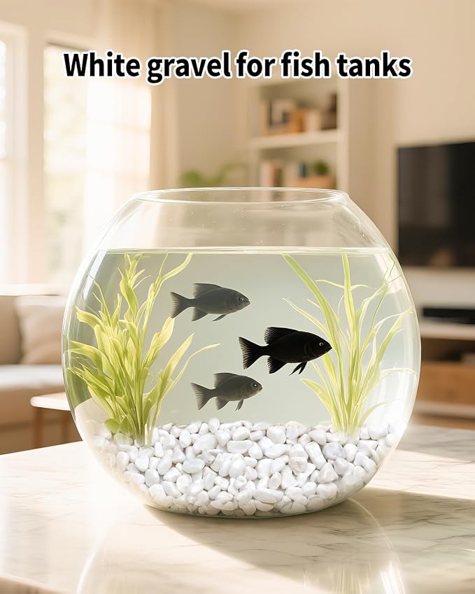 6LB White Succulent & Cactus Gravel Pebbles - 1/4-3/8 Inch Natural Polished River Rocks, Decorative Stones for Plants, Terrariums, Vases, Aquariums & Outdoor Gardening