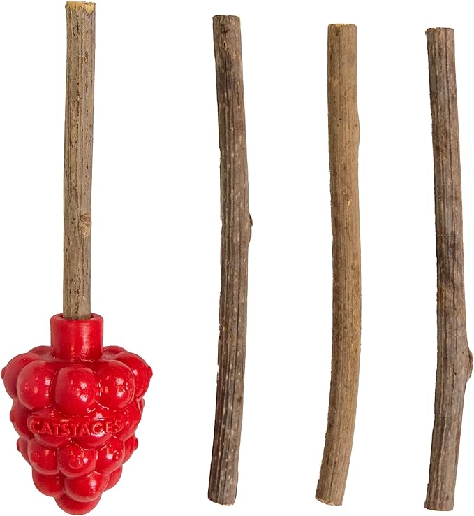 Catstages Dental Raspberry Teether with 4 Silvervine Sticks Included, Cat and Kitten Teething Toy, Red