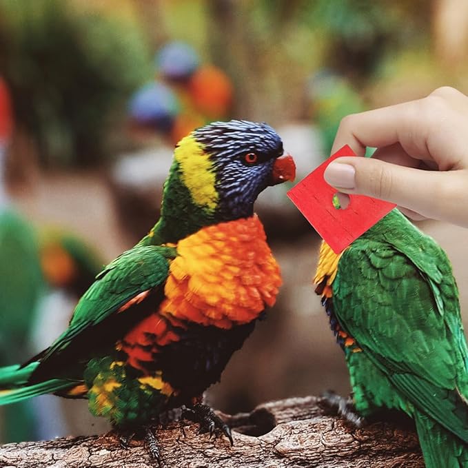 GANAZONO 100Pcs Parrot Wood Blocks Toys Wooden Blocks Bird Chewing Toy Bird Bite Toys Mini Wood Chips DIY Craft for Parrot Playing Chewing