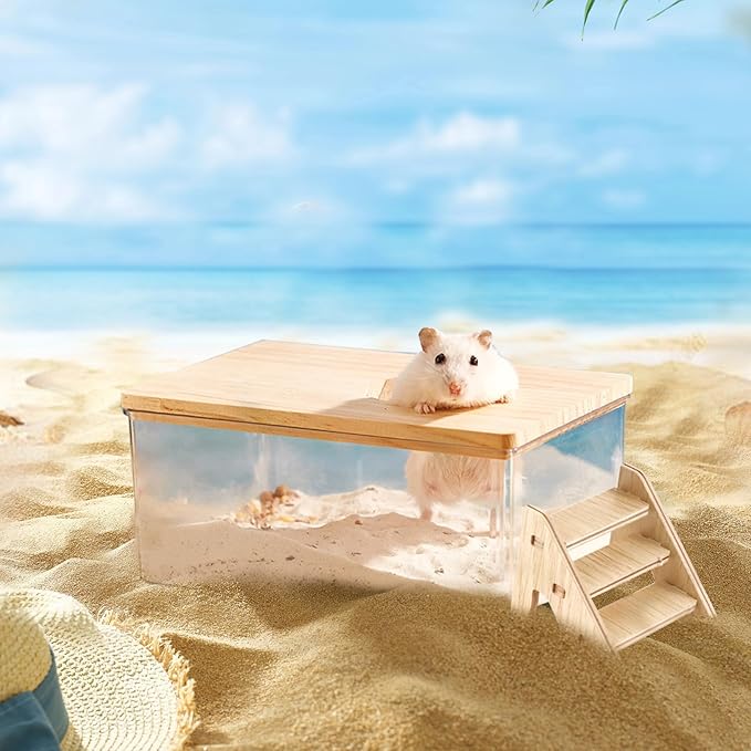 Hamster Sand Bath Box Container, Hamster Bath Sand Gerbil Sand Bath Hamster Dust Bath, Hamster Litter Box Chinchilla Dust Bath Hamster Accessories (Small Rectangle)