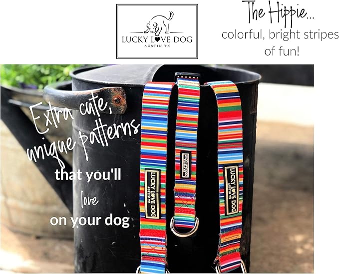 Lucky Love Dog Martingale Collar and Leash Set, Premium No Slip Collar and Leash Set, Colorful Hippie Martingale Color for Large Dogs, Great for Whippets, Greyhounds, and More (Hippie, Large - Combo)