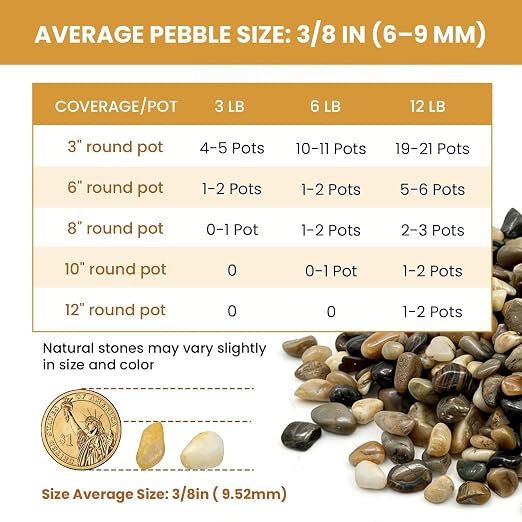Lightly Polished Multicolored Washed Rice Stone, 12 Lb, 3/8 Inch | Retain The Natural Texture of Stone, With Soft Luster and Transparent Color