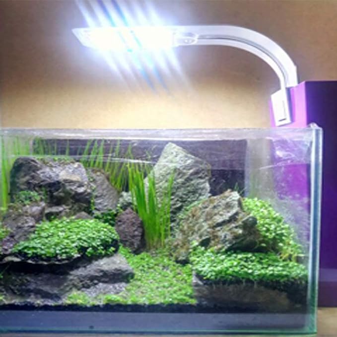 10W Super Slim Aquarium Fish Tank 5730 LED Light Clip-on Lamp Aquatic Plant Lighting (White Body White+Blue Light)