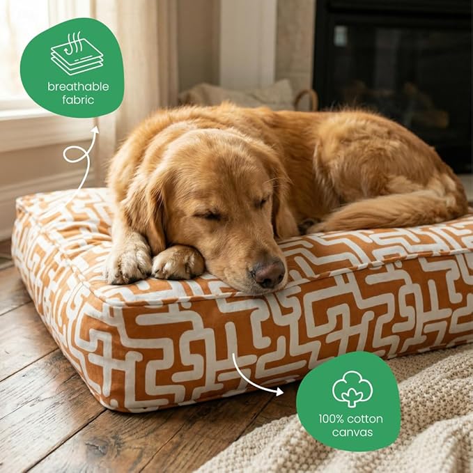 Molly Mutt Hypnotize Dog Bed Duvet Cover, GOTS-Certified 100% Organic Cotton Canvas Cover for Dog, Puppy, or Cat Bed, Durable, Washable, and Free of Harmful Chemicals, Small, 22"x27"x5"