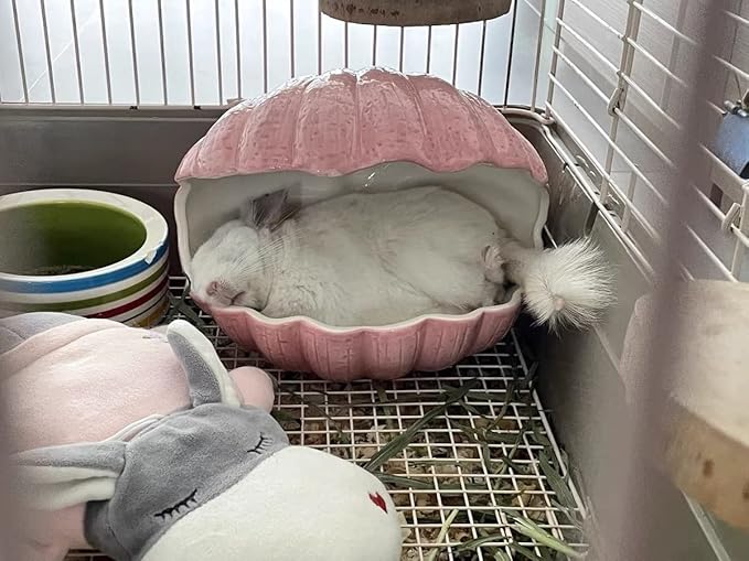Small Animal Hideout Extra Large Ceramic Shell Shape Guinea Pig House Chinchilla Igloo Habitat Hut Cave Summer Bed Cage Accessories for Hedgehog Rabbit Hamster Gerbil Rat (XL (9.5''x7''x7.9''), Pink)