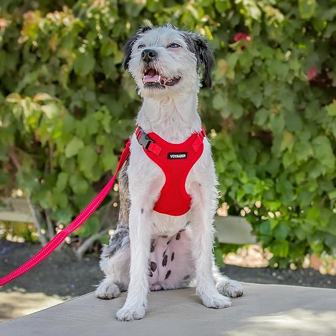 Voyager Step-in Pet Harness - All Weather Mesh, Adjustable Step in Harness for Cats and Dogs by Best Pet Supplies - Red, XL