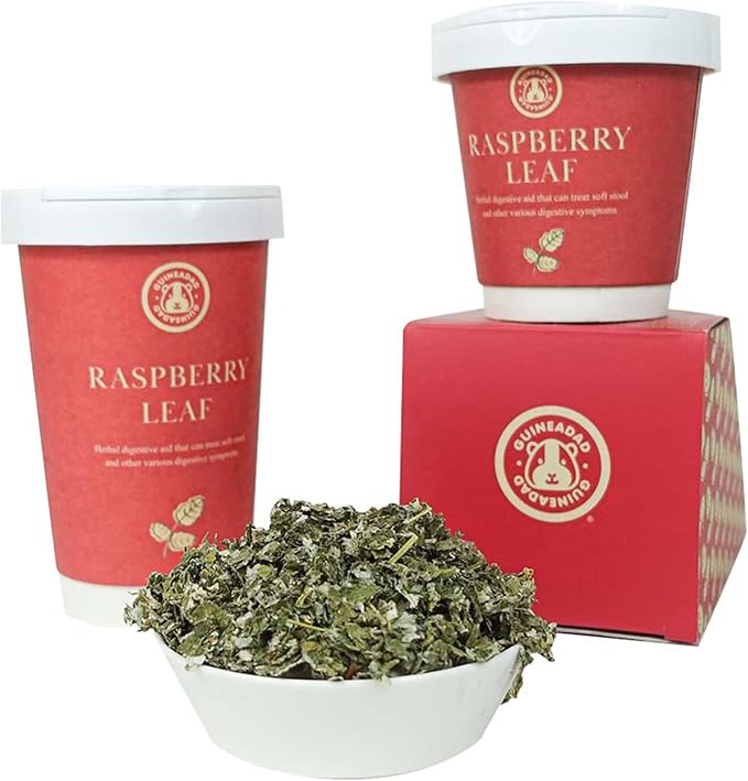 GuineaDad Organic Guinea Pig Herbal Treats - Guinea Pig Food with Convenient Packaging - Raspberry Leaf Flavor - 10 fl. oz - Guinea Pig Treats Help with Bonding - High in Nutrition and Fiber- Small
