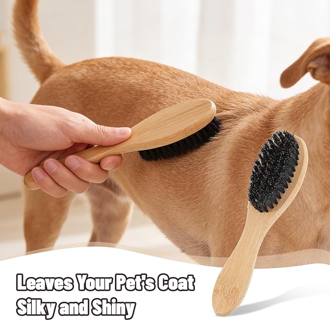 Soft Boar Bristle Dog Brush for Short Haired, Gentle Deshedding & Grooming Tool, Ideal Pet Hair Brush, Wood Handle Soft Pets Hairs Brushes for Short Hair Cats and Small Dogs, Small