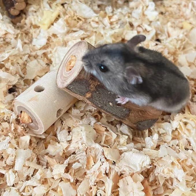 4PCS Apple Wood Small Animals Chew Sticks, Naturally Apple Sticks, Small Pet Chew Teething Toys for Chinchillas, Rabbits, Guinea Pigs, Hamsters