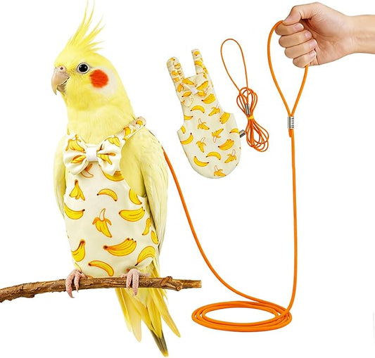 Bird Diaper and Leash Set with Harness, Cockatiel/Conure/Young Quaker Parrot Diapers with Harness, Washable Pet Bird Flight Suit Set for Outdoor Flying & Training (M)