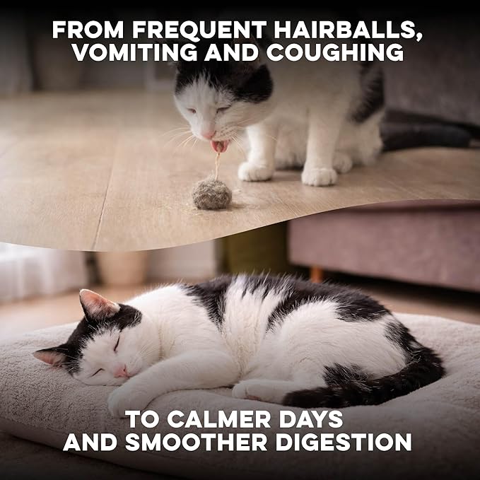 Hairball Treatment for Cats & Stomach Comfort Remedy – Supports Digestive Balance, Natural Elimination & Easy Passage of Hair – Gentle Daily Formula for Adult Cats & Seniors – 400 Tiny Pills