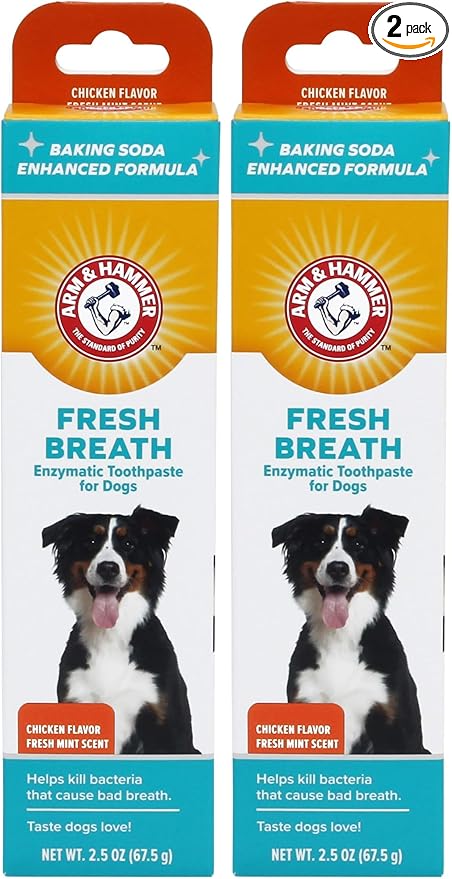 Arm & Hammer for Pets Dental Enzymatic Toothpaste for Dogs | No More Doggie Breath | Dog Toothpaste Safe for All Dogs and Puppies, Advanced Care, Chicken Flavor 2.5 Ounce (Pack of 2)