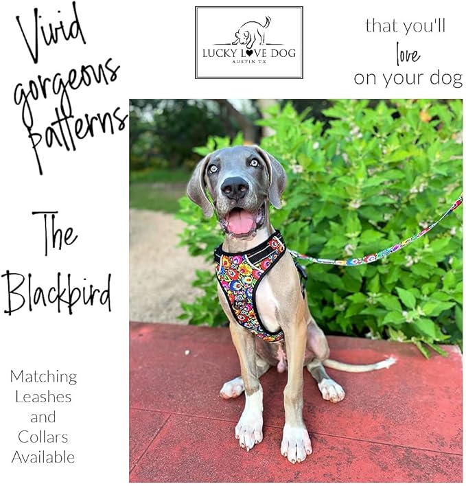 Lucky Love Dog No Pull Dog Harness, Adjustable and Easy to Walk, Cute Patterned Harness for SmallMale & Female Dogs - Blackbird, Small
