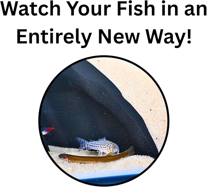Aquarium Corner Underground Cave Natural Mangrove Tree | Viewing Fish Under Gravel Tunnel Hide | Fish Tank Hideout Decor Decoration Enrichment for Corydora Catfish, Kuhli Loach, Pleco, Betta