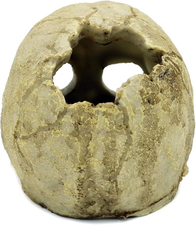 JIHAQUA Aquarium Resin Skull Ornament Snake Hide Decor, Habitat | Reptile Tank Accessories, Basking