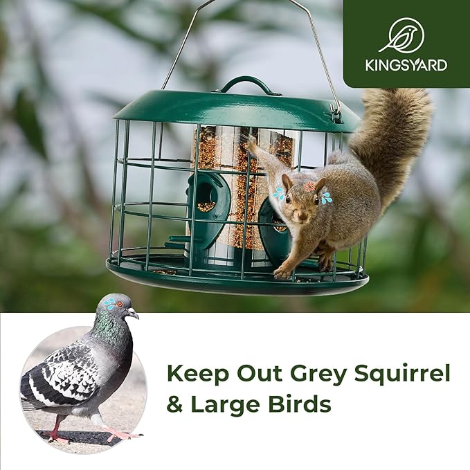 Kingsyard Tube Squirrel Proof Bird Feeders for Outdoor Hanging, Metal Caged Bird Feeder with Rain Proof Covered for Wildbirds Finches Bluebird, 4 Feeding Ports, Green