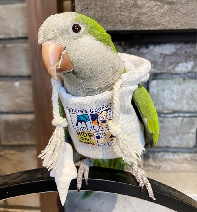 Bird Hoodie, Flight Suit for Parrots, Large, White with Hat, Polyester-Cotton, All Life Stages, Bird Apparel