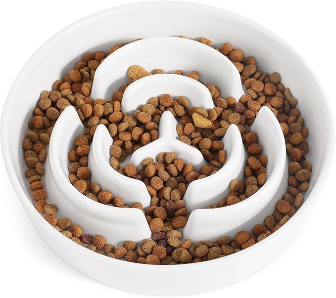 Ceramic Slow Feeder Dog Bowls,0.6 Cups Slow Feeder for Small Breed,Puzzle Dog Food Bowl to Slow Down Eating, Anti-Gulping, Stop Bloat,Preventing Choking,6in,White