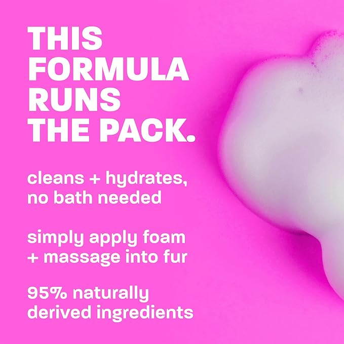 TropiClean Berry & Coconut Waterless Cat Shampoo | Deep Cleansing Dry Shampoo for Cats | Natural Cat Shampoo Derived from Natural Ingredients | Made in the USA | 7.4 oz.