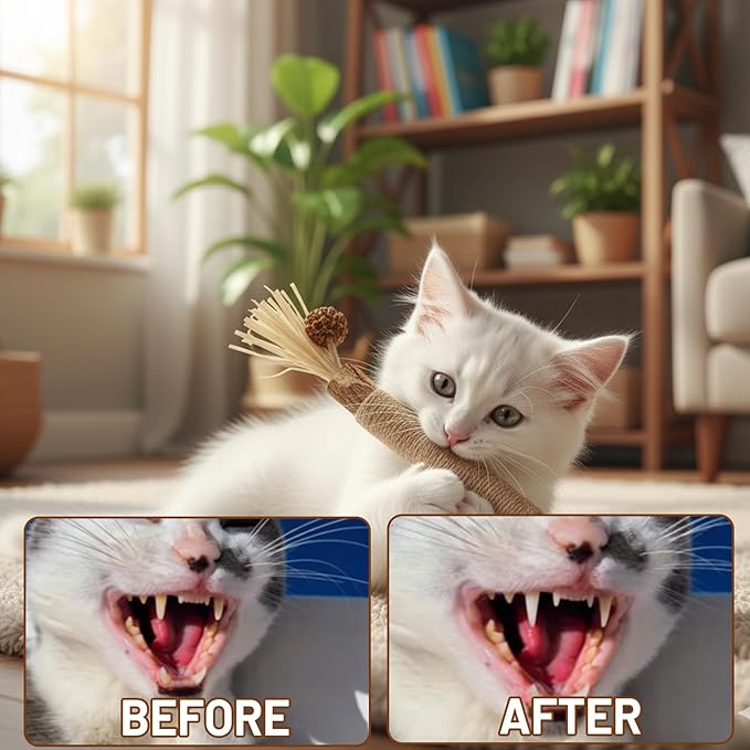 16 PCS Silvervine Sticks for Cats, Dental Chew Tools, Mood Relief for Indoor Cats, Cat Chew Sticks Set with Nice Materials