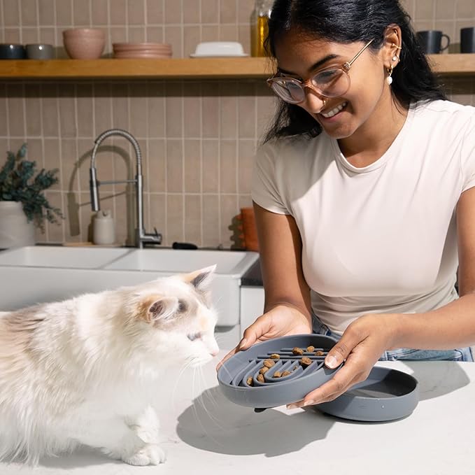 Should We Go? Slow Feeder for Dogs & Cats, The Slowdown Bowl Silicone Slow Eating Mealtime Solution with Modern Lick Mat Design, Reduces Gulping, Fits 1 Cup, 6” Across x 1.25” Tall, Small-Charcoal