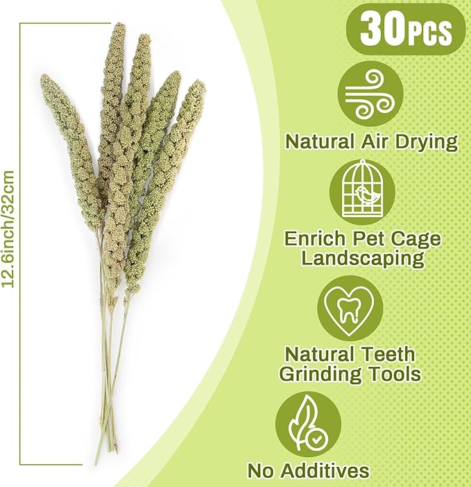 Sukh Hamster Millet Sprays - 30Pcs Natural Millets 12.6In Hamster Bedding Decor Cages and Habitats Accessories Spray for Dwarf Syrian Hamsters Chinchilla Squirrel and Birds