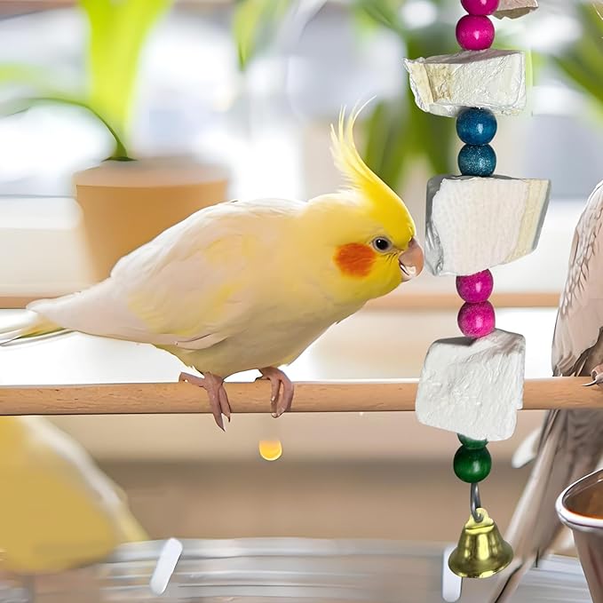 Hamiledyi 2 Pack Bird Toys with Five Cuttlebone - Natural Calcium Chew Toy for Beak Grinding, Hanging Wooden Cage Accessories for Parakeets, Budgies, Cockatiels, Lovebirds(Style A)