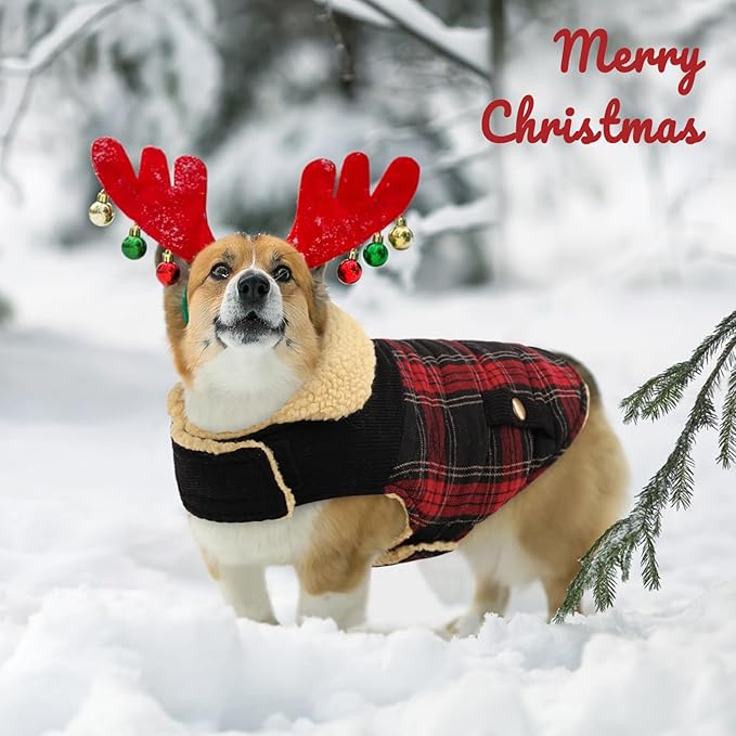 Queenmore Dog Winter Coat Warm Dog Jacket for Cold Weather, Quilting Puffer Plaid Coats for Small/Medium Dogs Waterproof,Girl/Boy Pet Christmas Coat,Pet Snowsuit with Leash Hole/Fleece Padding, S