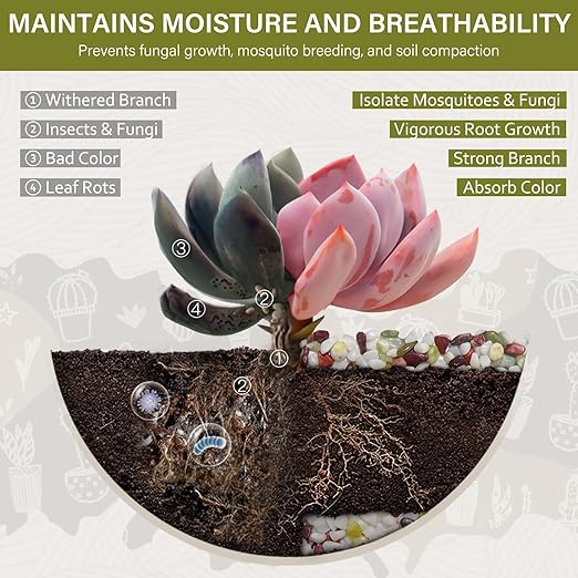 NUPICK 12 lbs Pebbles for Indoor Plants, 1/5 Inch Pea Gravel for Fish Tank, Polished Decorative Rocks for Succulent, Natural River Stones for Vases, Cactus, Landscaping, Bird Bath, Colorful Mixed