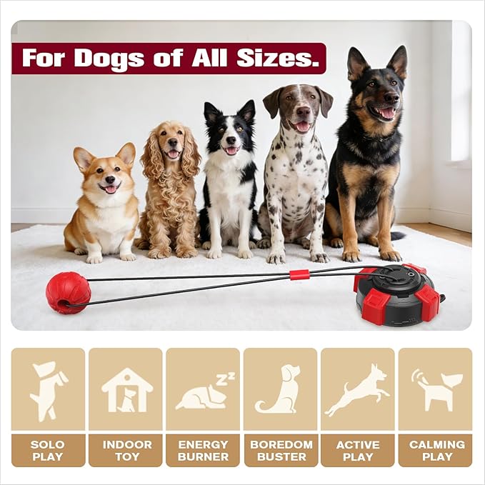 Red & Black Indestructible Suction Cup Dog Toy with Powerful Suction for Aggressive Chewers Interactive Tug of War Puzzle Enrichment Ball for Small/Medium Dogs Boredom Relief Indoor Outdoor Use