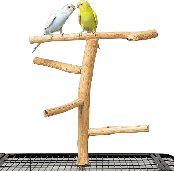 Natural Wood Bird Perch for Top of Cage, Cage Top Perch Play Stand for Parakeets, Cockatiels, Lovebirds and Small Conures, Multi-Level Training Branch for Small Medium Birds