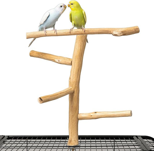 Natural Wood Bird Perch for Top of Cage, Cage Top Perch Play Stand for Parakeets, Cockatiels, Lovebirds and Small Conures, Multi-Level Training Branch for Small Medium Birds