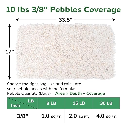 GreatBuddy 10-lb Decorative Rocks for Indoor Plants, 3/8" White Pebbles, Small Rocks for Potted Plants, Succulent, Vases, Aquariums, Fish Tanks, Garden Landscaping, Natural Polished