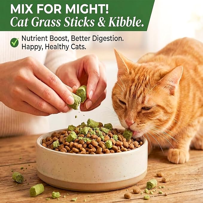 6Pack Cat Toys Cats Grass Treat Catnip Toy with Silvervine for Indoor Kitten Toys Wood Kitty Chew Rope Grass Sticks for Teeth Cleaning Kitten Snack for Catnip Dental Care Self Play