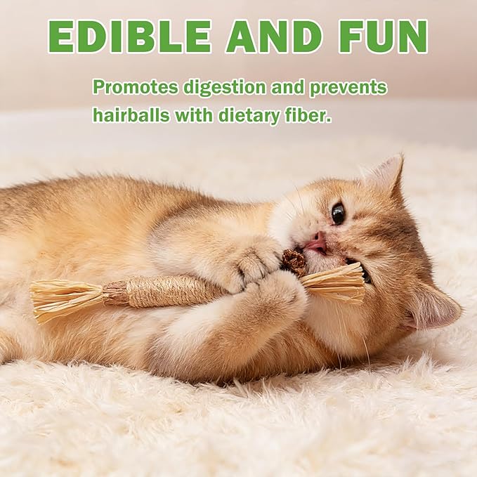 [8 Pack] Silvervine Sticks for Cats, Natural Chew Stick for Dental Care Teeth Cleaning, Cat nip Chew Rope Toys for Bored Indoor Kittens, Catmint Silvervine Blend Toys
