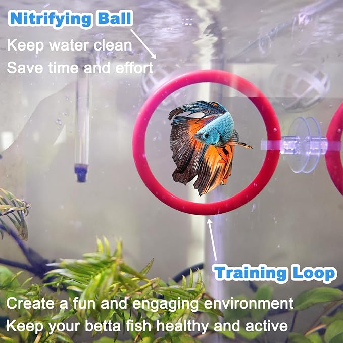 Betta Fish Toys - 4 Training Rings & 2 Bio Filter Balls, Beta Exercise Loop Toys and Nitrifying Balls Set, Betta Fish Tank Accessories Feeding Ring for Small Tank Decor Aquarium Water Conditioner