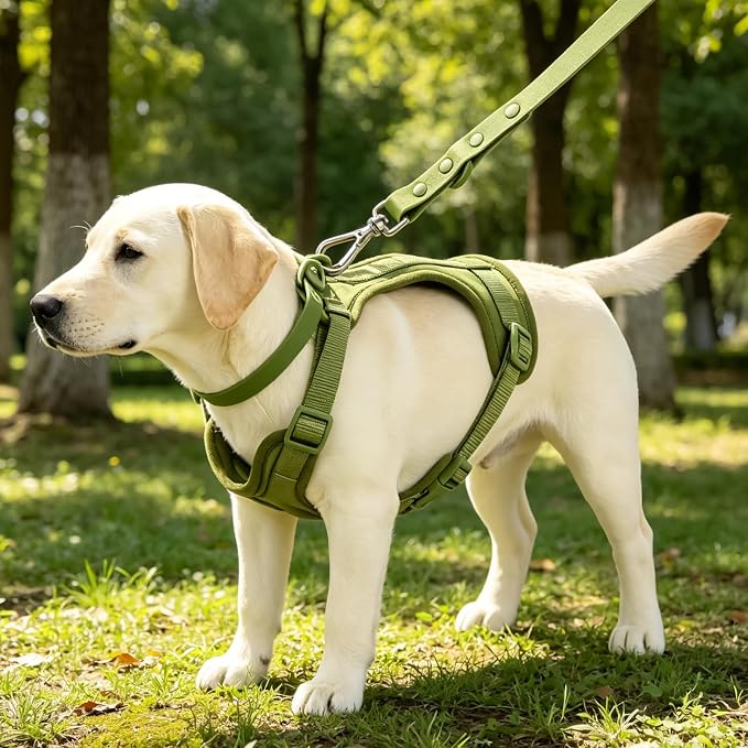 4-in-1 No Pull Dog Harness Set with Collar, Leash, Poop Bag, Adjustable, L