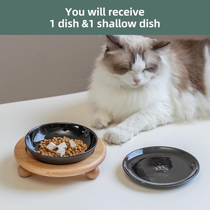 Havniva Elevated Cat Bowls, Ceramic Cat Food Bowl Whisker Friendly Cat Dishes, Kitten Food & Water Bowl with Two Heights Stand, Anti-Slip Raised Cat Food Plates