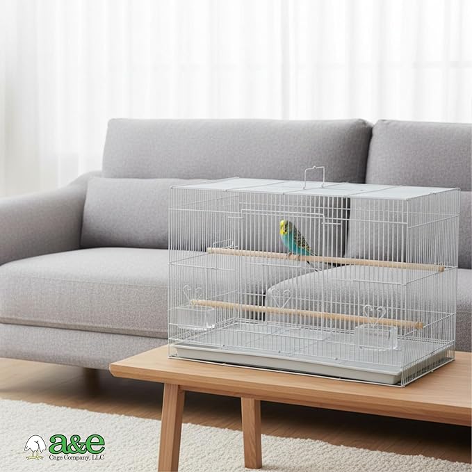 A&E Cage Co 503 White SP Flight Bird Cage – 24" x 16" x 16" Small Bird Cage for Finches, Canaries & Parakeets – Includes 2 Feeder Stations, Wood Perch, Slide-Out Tray & Carry Handle (White)