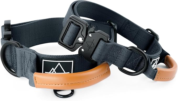 Made to ROAM Premium Explorer Control Collar - Adjustable Heavy Duty Nylon Dog Collar with Quick-Release Metal Buckle and Handle (New York Afterlight, Control Size 4)