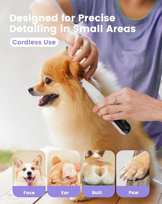 PAPMINI Dog Paw Trimmer with LED Light, 35dB Low Noise Paw Trimmers for Dog's Feet, 2 Speed Safety Electric Dog Clippers for Grooming, Rechargeable Cat Shaver for Paws, Ears, Face, Rump (White)