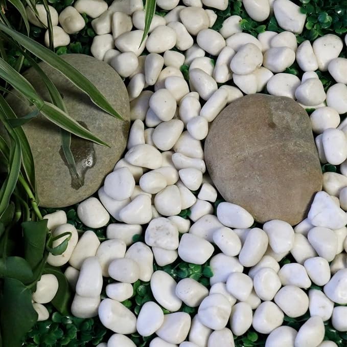 White Polished Rocks for Plants, Decorative Pebbles, 1-2 Inch, 10 lb