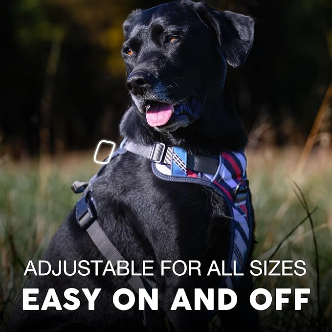 Embark Adventure Small Dog Harness – No-Pull, Reflective Trim, Military-Grade Nylon, Front Clip with Gel-Lined Handle