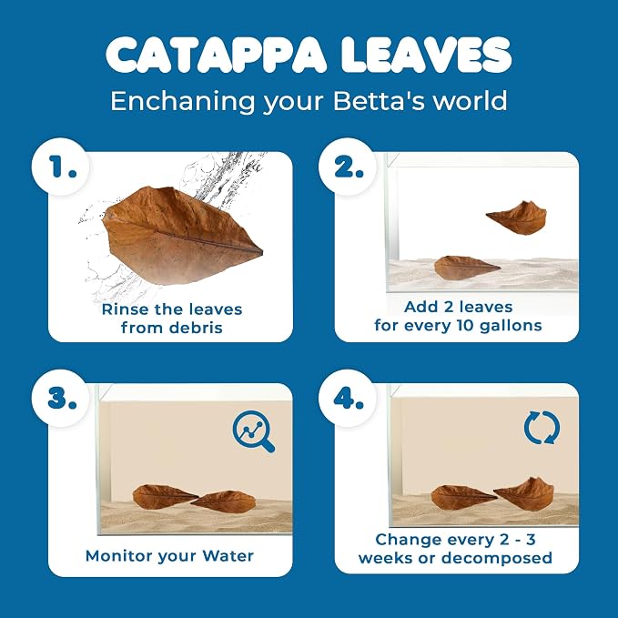 SunGrow Betta Leaves, Beneficial Indian Almond Leaves for Overall Development