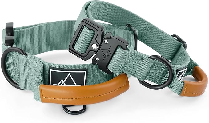 Made to ROAM Premium Explorer Control Collar - Adjustable Heavy Duty Nylon Dog Collar with Quick-Release Metal Buckle and Handle (Florida Seaside, Control Size 2.5)