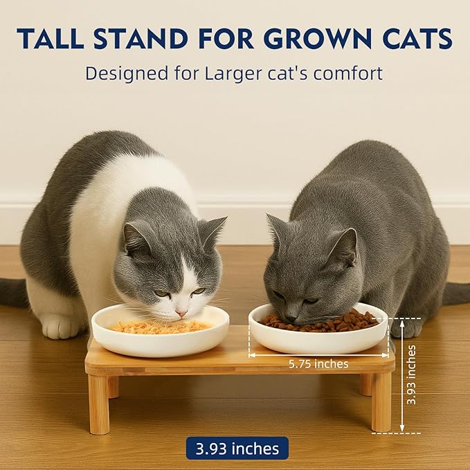 DoogCat Elevated Cat Bowls for Indoor Cats – Raised Bamboo Cat Food Table with 2 Ceramic Dishes, Adjustable Height (4.25"/3.07"), Whisker Friendly Feeding Station