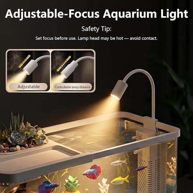 5 Gallon Fish Tank Aquarium Starter Kit with Filter and Light, All in One Small Fish Tank for Betta, Kids & Desktop Use, Self Cleaning Nano Aquarium with Lid(Large White)