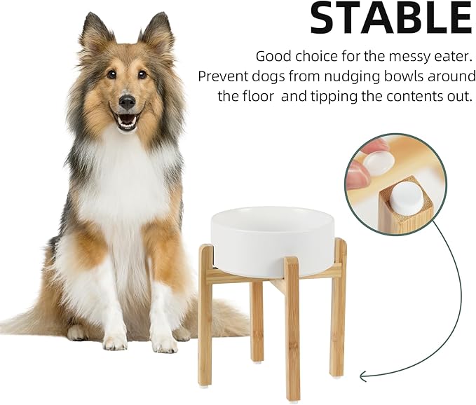 Havniva Ceramic Raised Dog Bowl Set, Elevated Dog Bowl with Stand, Food and Water Bowl for Large Breed Dogs, Weighted Pet Dishes(8.2'',60OZ, White)